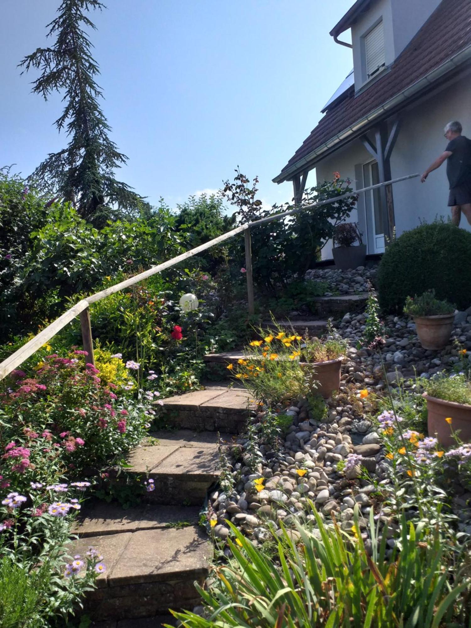 Gite Dans Vignoble Alsacien Westhalten Exterior photo