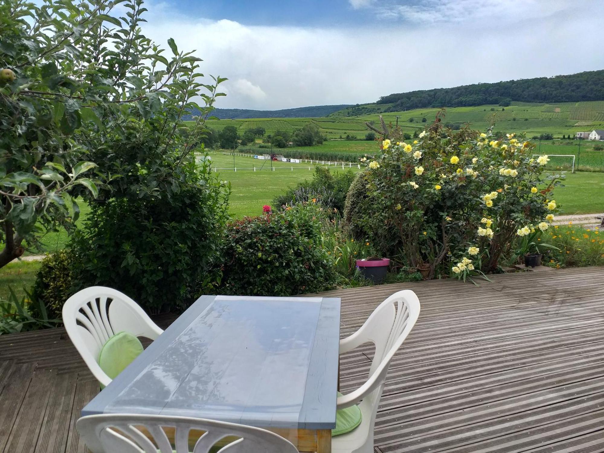 Gite Dans Vignoble Alsacien Westhalten Exterior photo